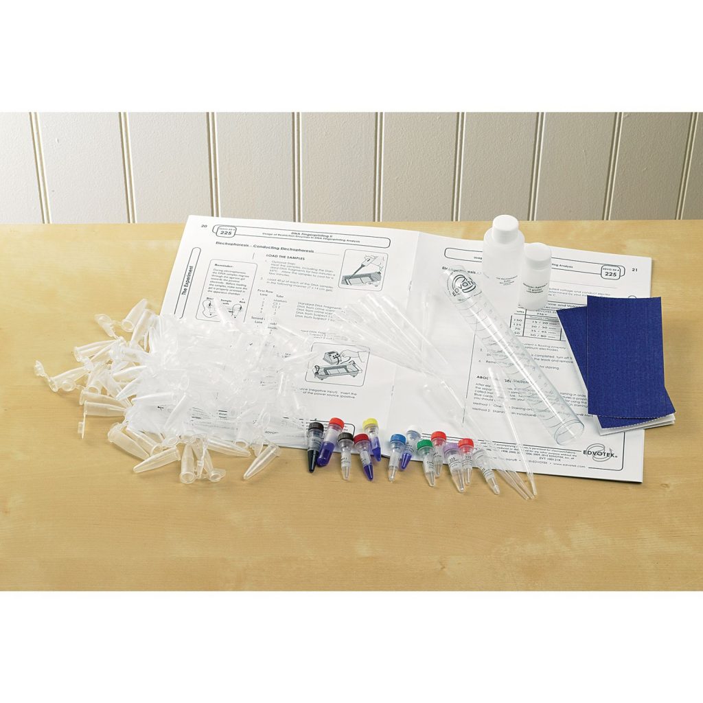 DNA Fingerprinting Using Restriction Enzymes Kit AMS Shopping